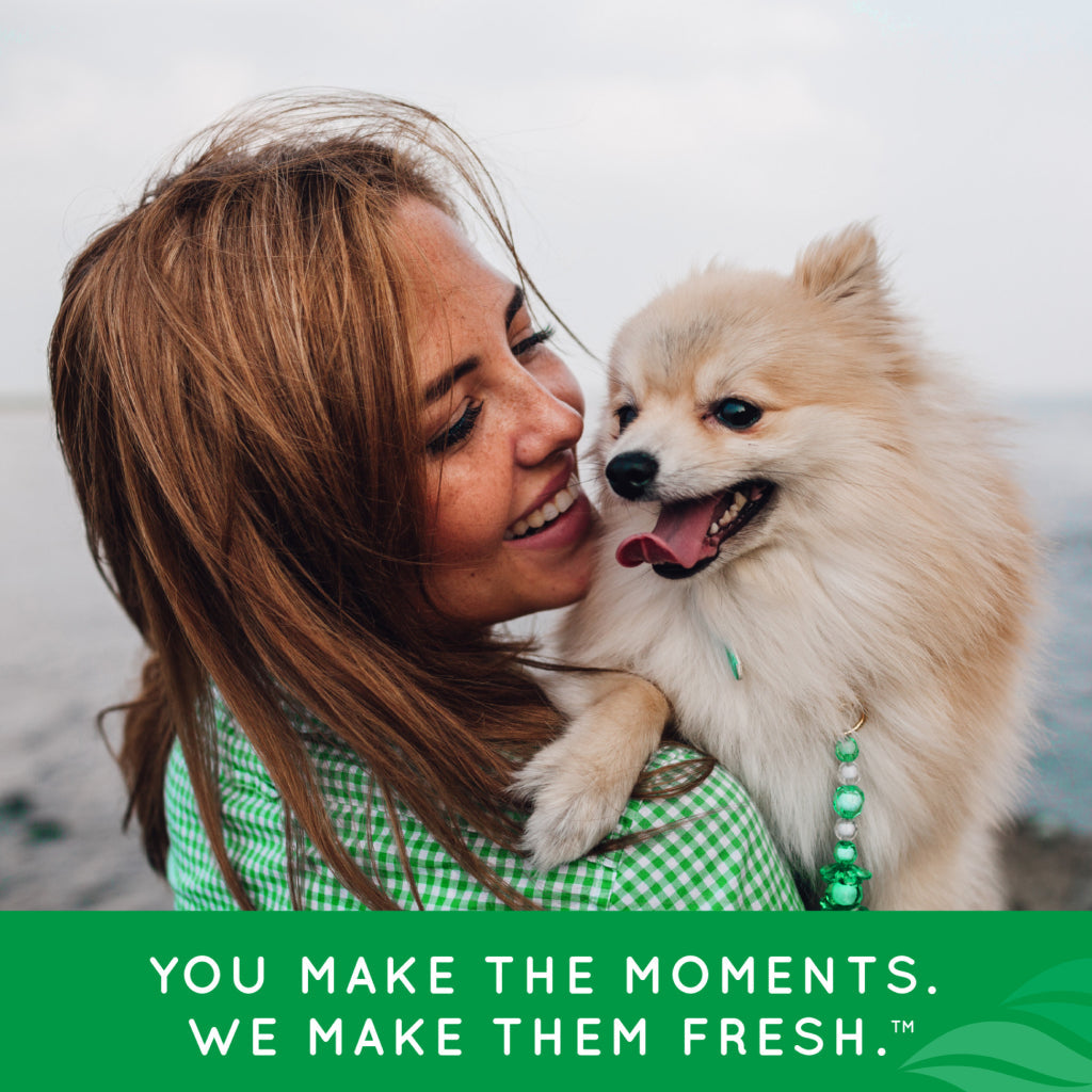 TropiClean Fresh Breath Total Care Oral Gel Kit for Dogs