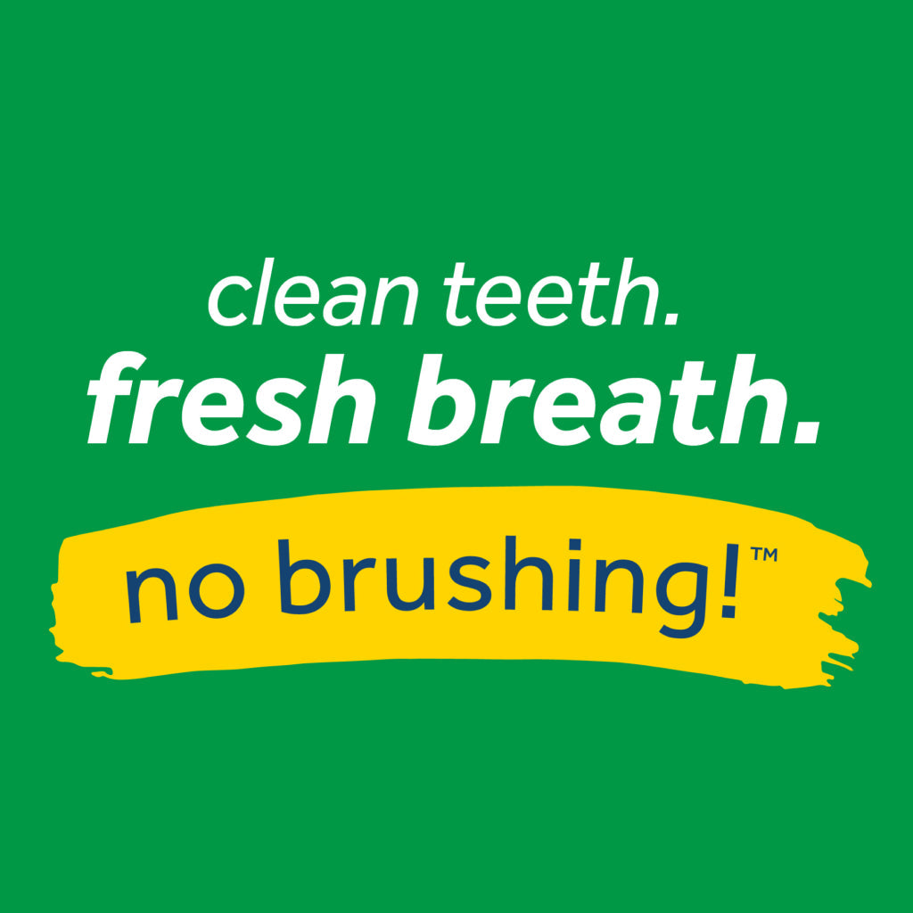 TropiClean Fresh Breath Total Care Oral Gel Kit for Dogs