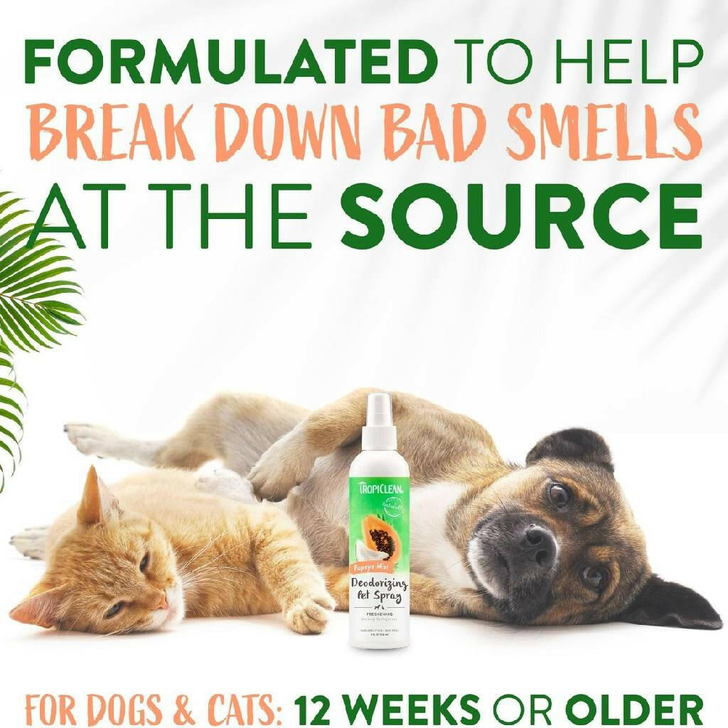 Tropiclean Papaya Mist Deodorizing Pet Spray (8 oz)