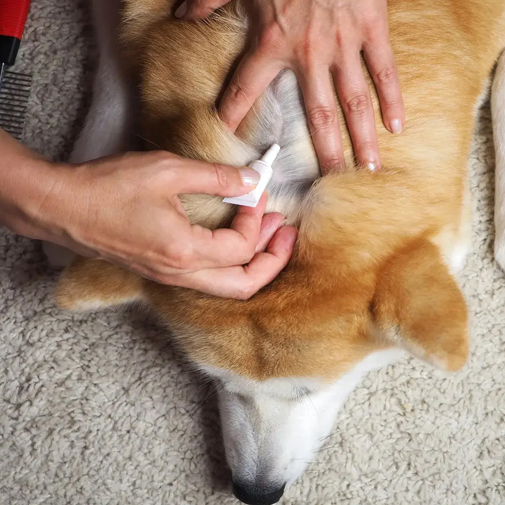 TVATI Pet Massage Oil, 30 doses - 0.5ml, 1-pack (for Pets)