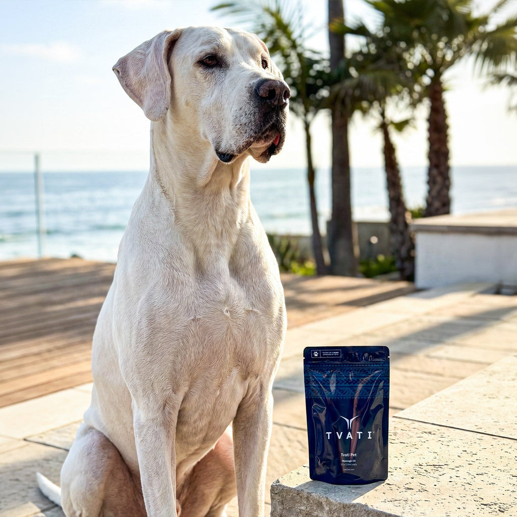TVATI Pet Massage Oil, 30 doses - 0.5ml, 1-pack (for Pets)