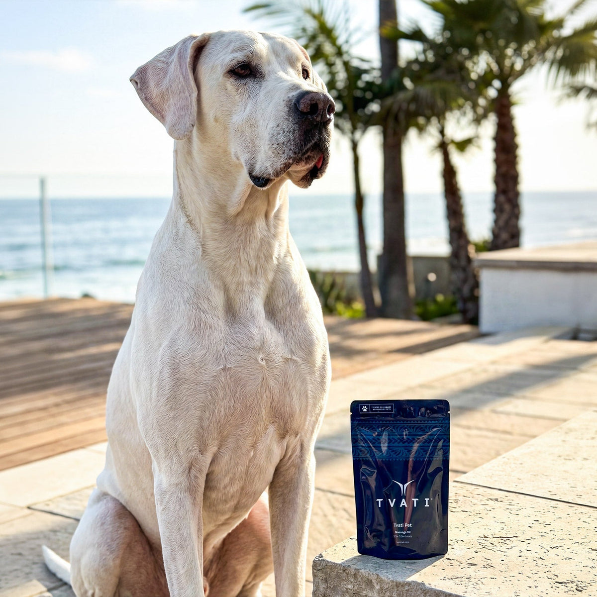 TVATI Pet Massage Oil, 30 doses - 0.5ml, 1-pack (for Pets)