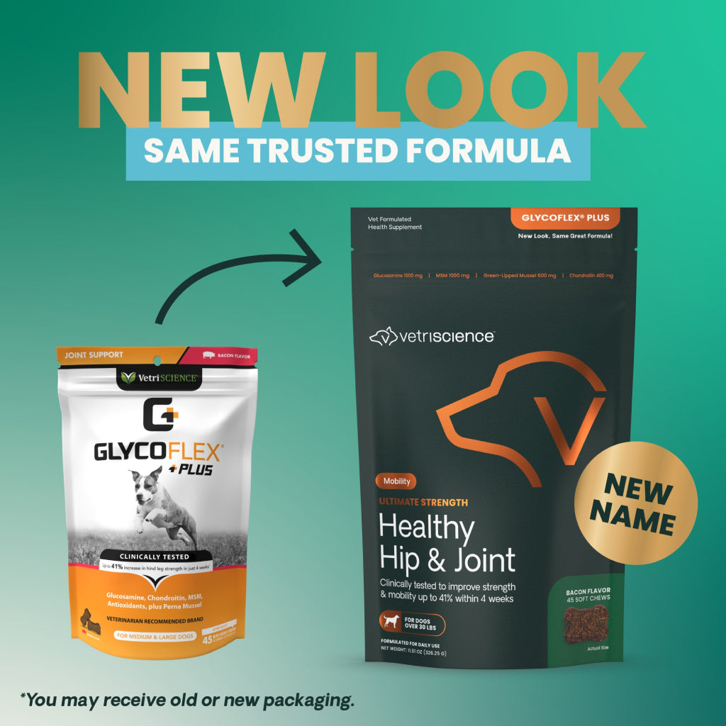 Ultimate Strength Healthy Hip & Joint Chews for Dogs Bacon Flavor