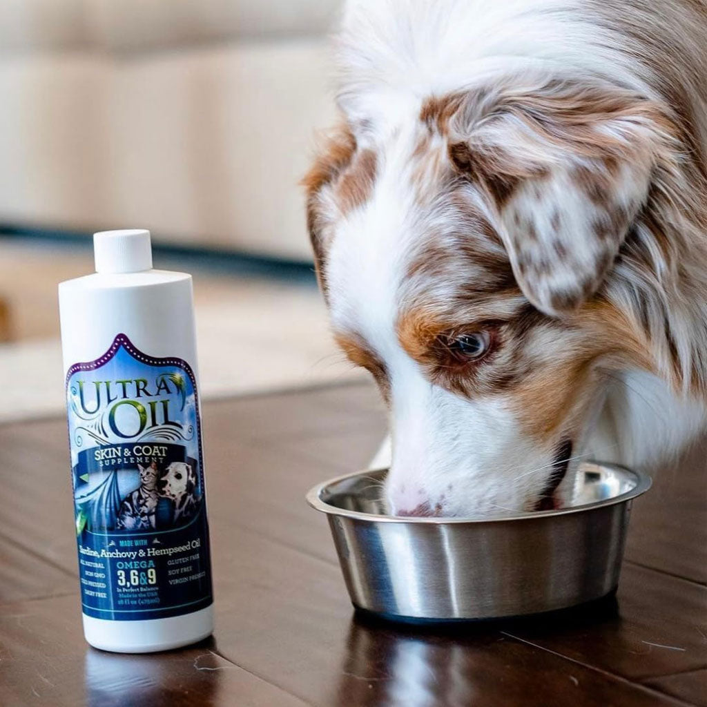 Ultra Oil Skin & Coat Supplement for Dogs & Cats