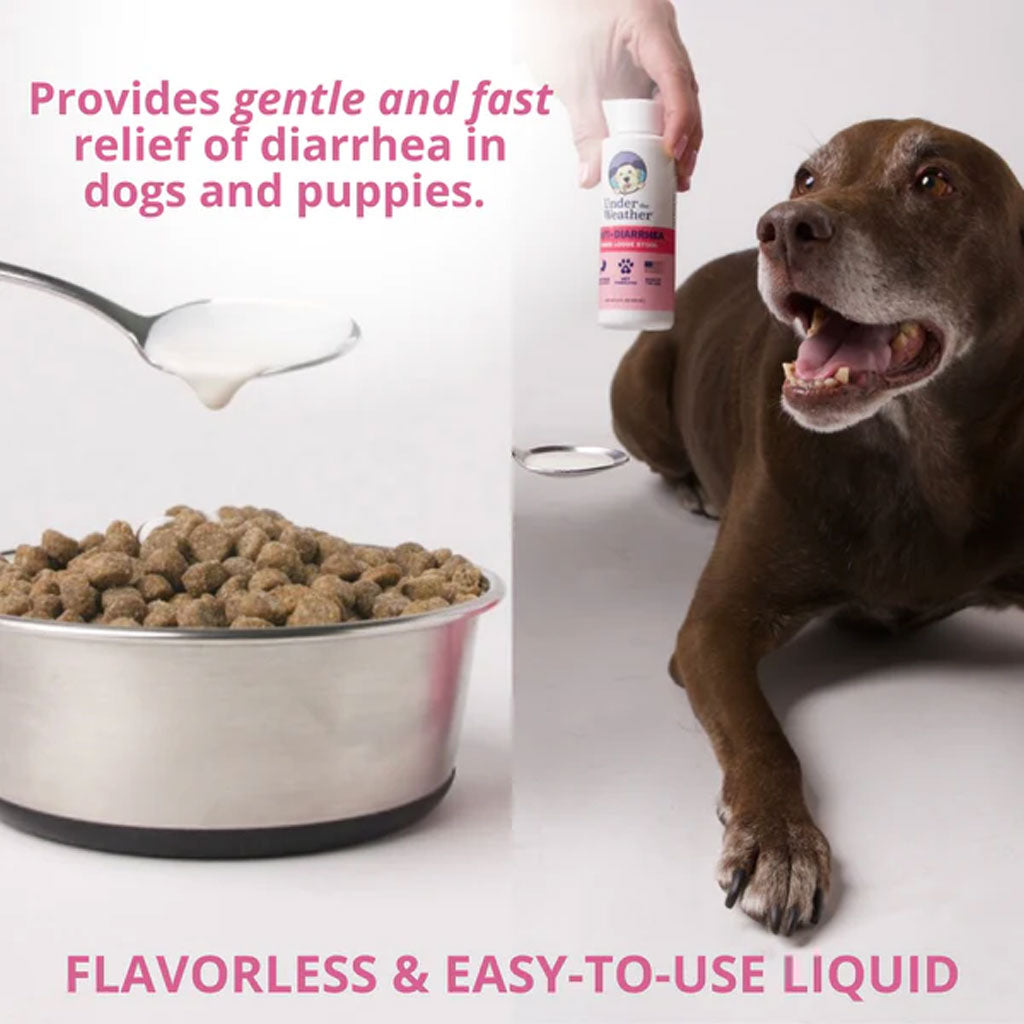 Under the Weather Anti-diarrhea Liquid for Dogs, 4-oz