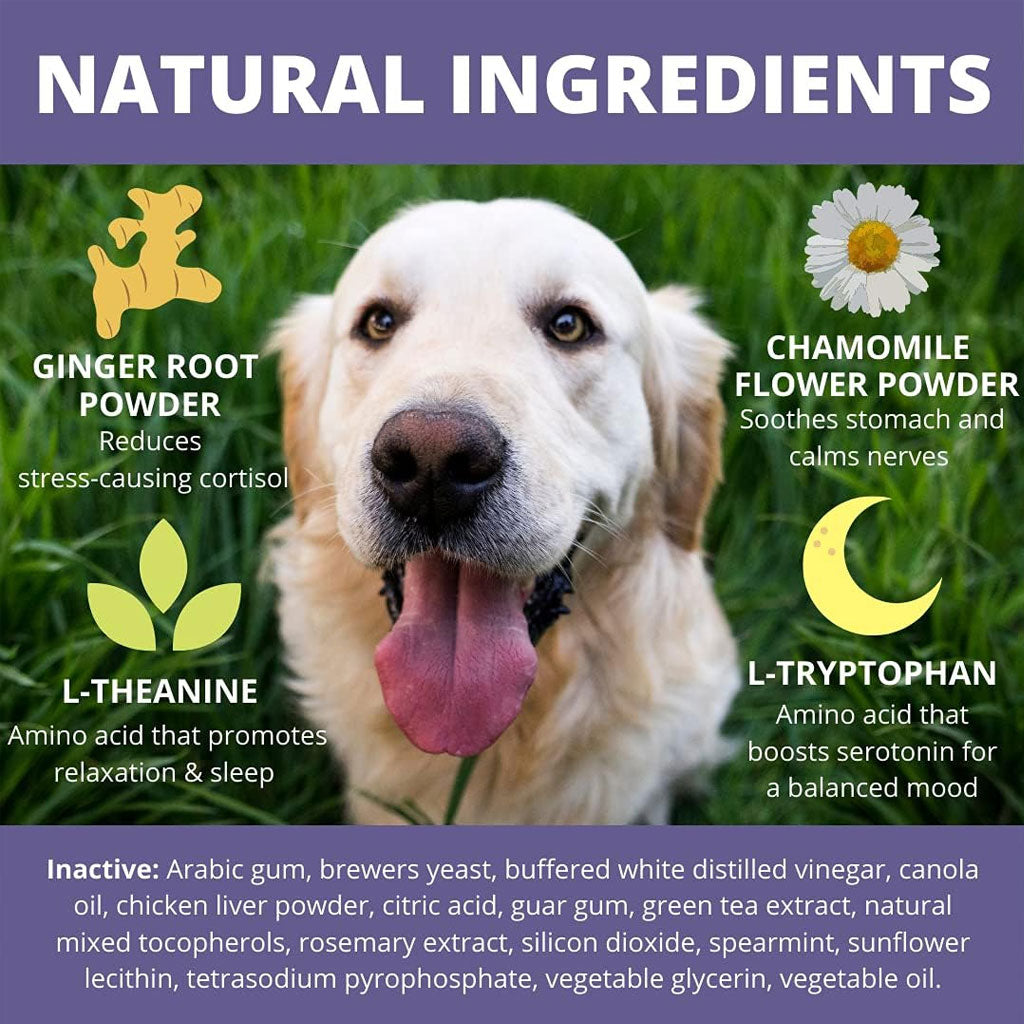 Under the Weather Calming Soft Chews for Dogs, 60 chews