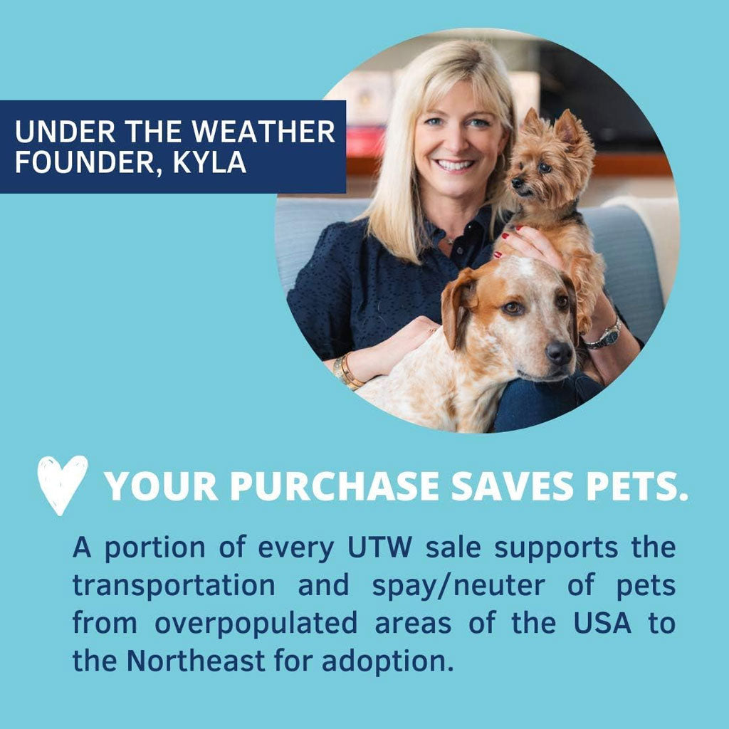 Under the Weather Calming Soft Chews for Dogs, 60 chews