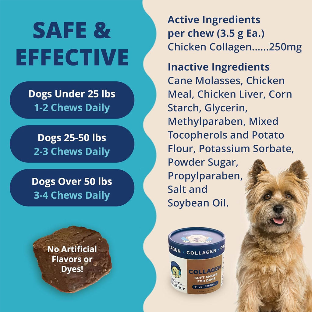 Under the Weather Collagen Soft Chews for Dogs, 60 chews