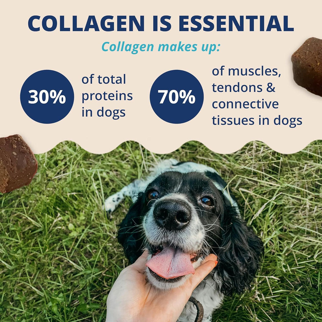 Under the Weather Collagen Soft Chews for Dogs, 60 chews