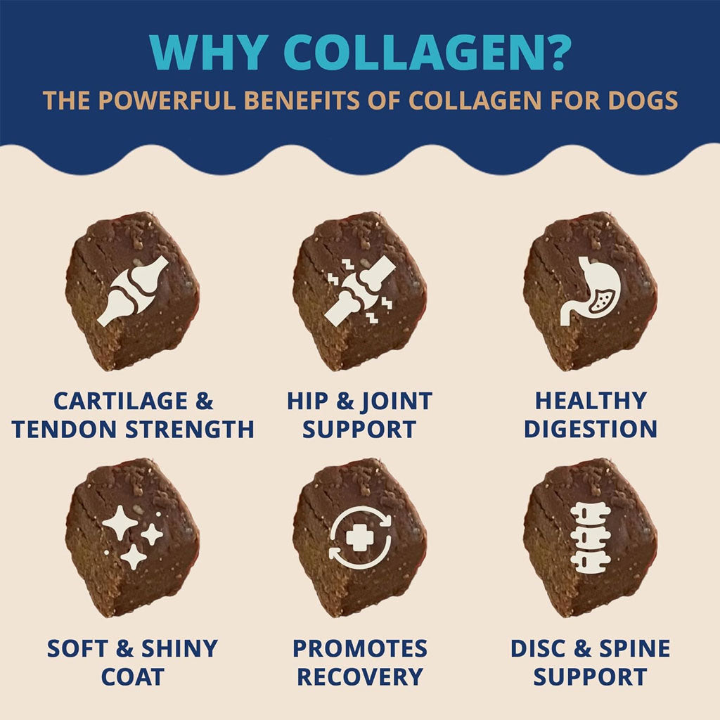 Under the Weather Collagen Soft Chews for Dogs, 60 chews