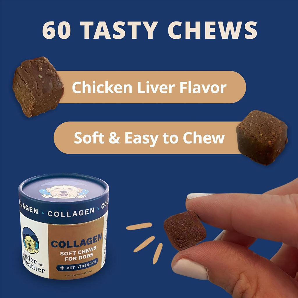 Under the Weather Collagen Soft Chews for Dogs, 60 chews