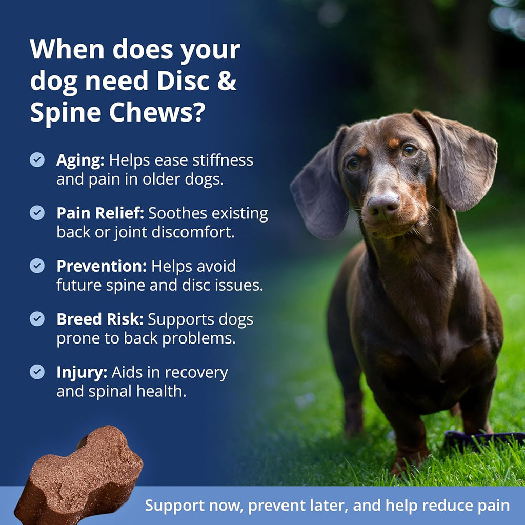 Under The Weather Disc & Spine Vet Strength Support for Dogs (60 soft chews)