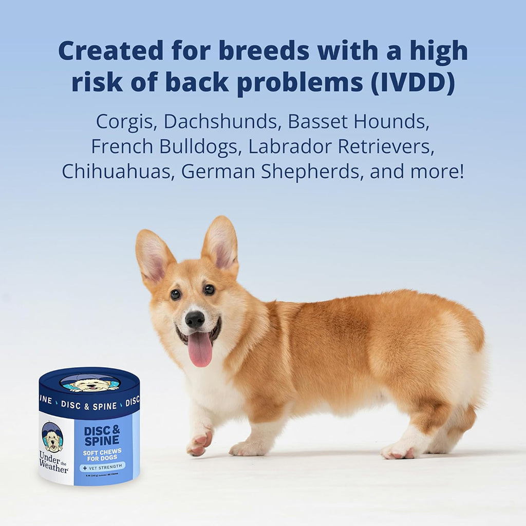 Under The Weather Disc & Spine Vet Strength Support for Dogs (60 soft chews)