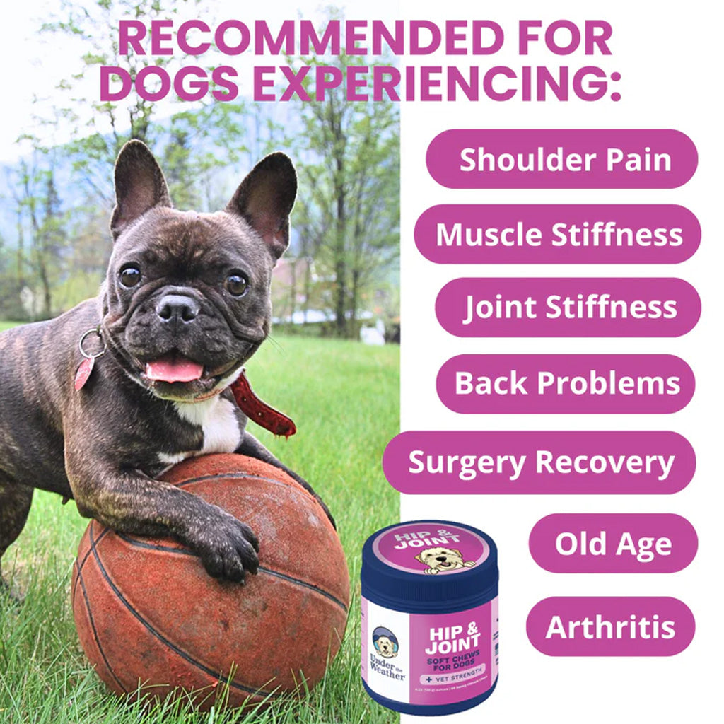 Under the Weather Hip & Joint Soft Chews for Dogs, 60-count