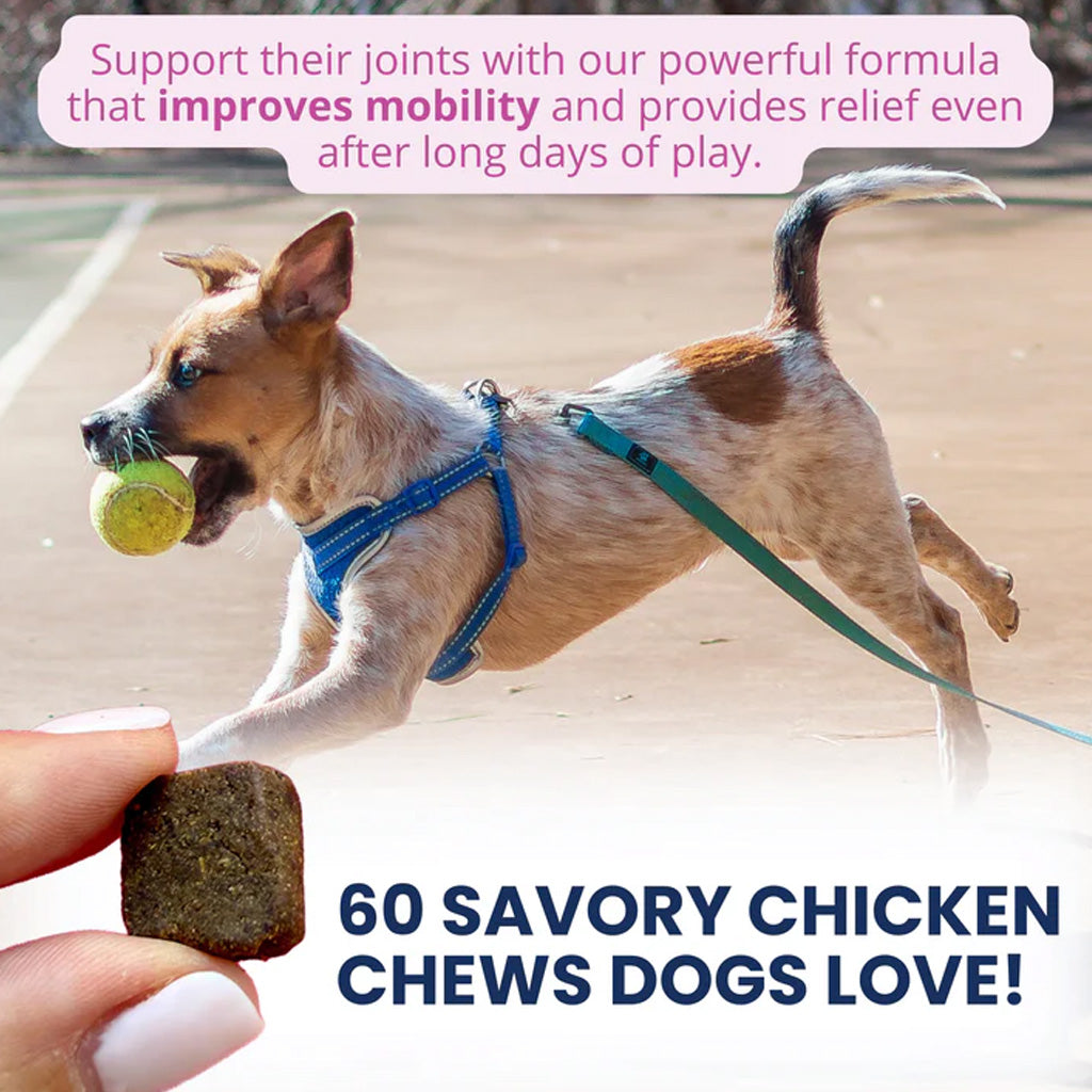 Under the Weather Hip & Joint Soft Chews for Dogs, 60-count