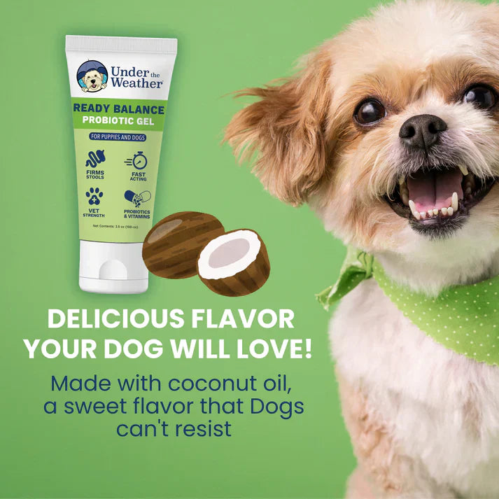 Under the Weather Ready Balance Probiotic Supplement for Dogs, 30 cc