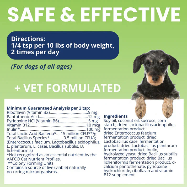 Under the Weather Ready Balance Probiotic Supplement for Dogs, 30 cc