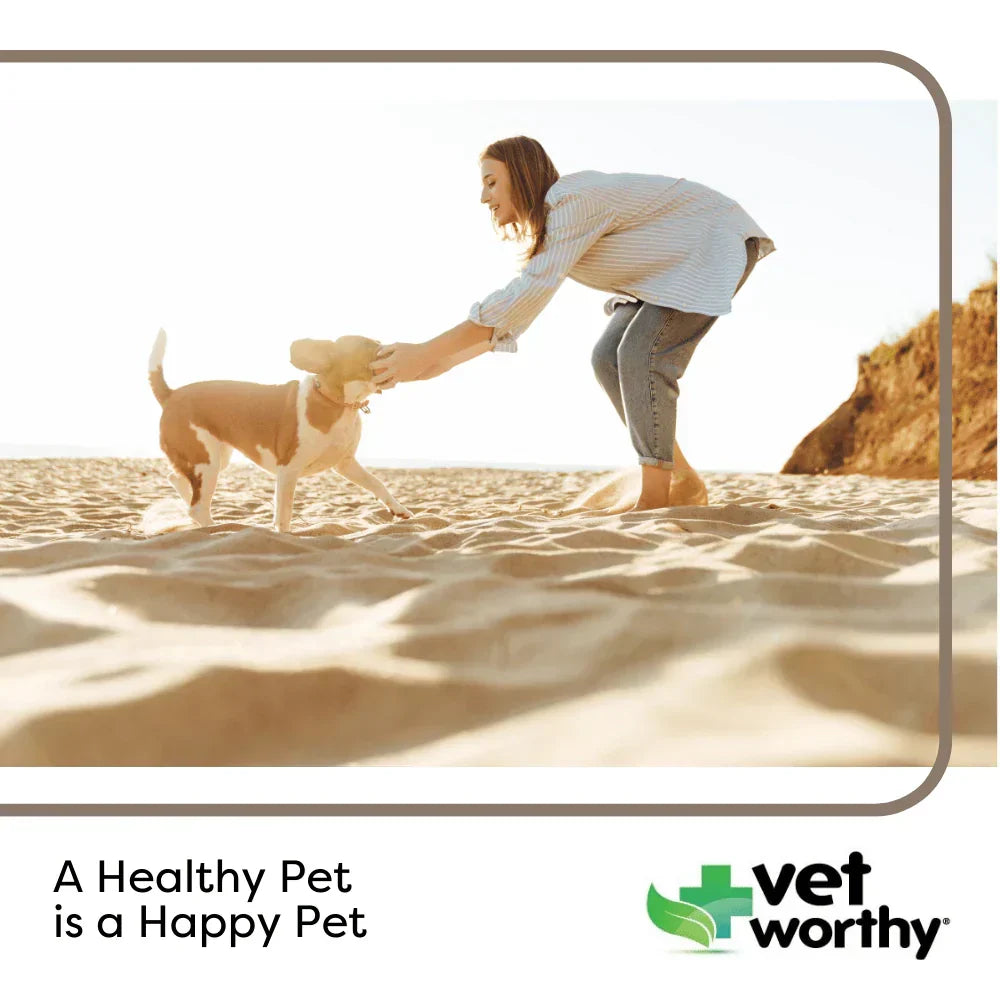 Vet Worthy Calming Soft Chews for Dogs (45 ct)