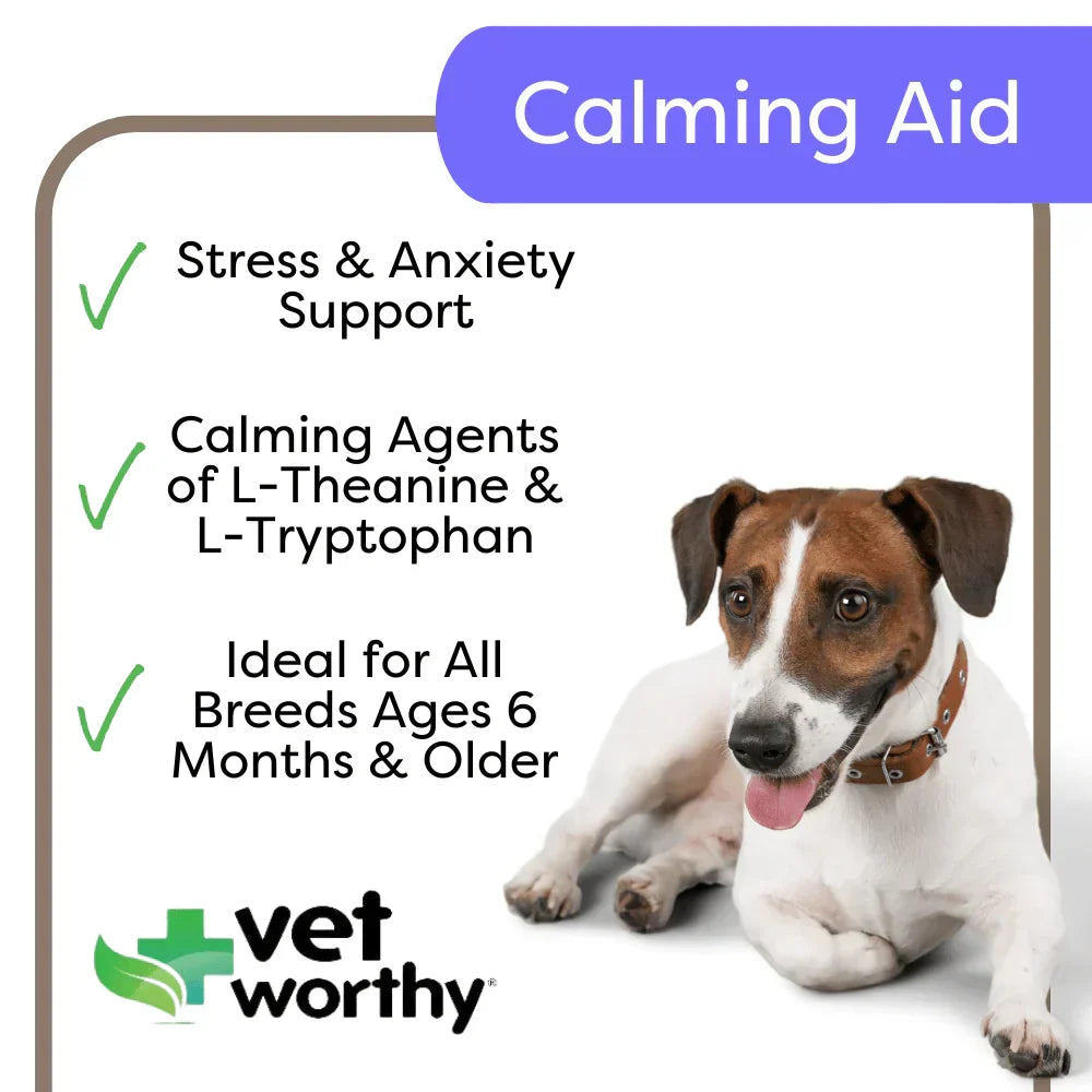 Vet Worthy Calming Soft Chews for Dogs (45 ct)