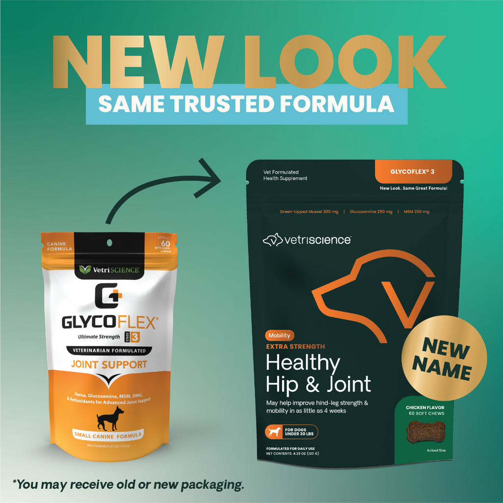 VetriScience GlycoFlex 3 Joint Supplement for Small Dogs (60 soft chews)