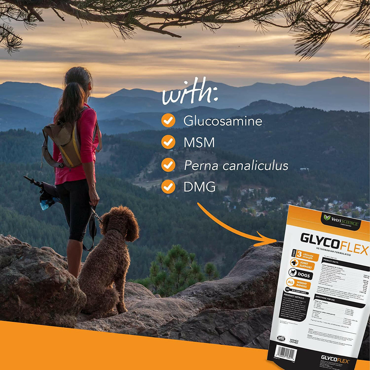 VetriScience GlycoFlex 3 Joint Supplement for Small Dogs (60 soft chews)