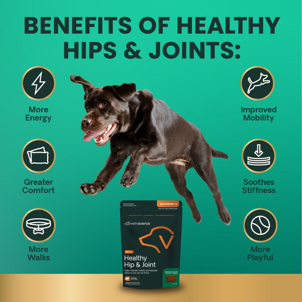 VetriScience Healthy Hip & Joint Chews for Dogs, Chicken Flavor (120 Soft Chews)
