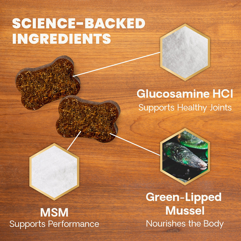 VetriScience Healthy Hip & Joint Chews for Dogs, Chicken Flavor (120 Soft Chews)