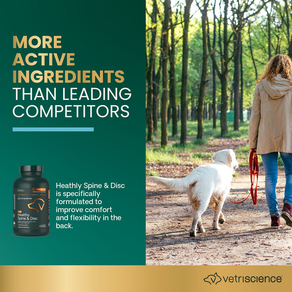 VetriScience Healthy Spine & Disc Capsule for Dogs (180 Capsules)