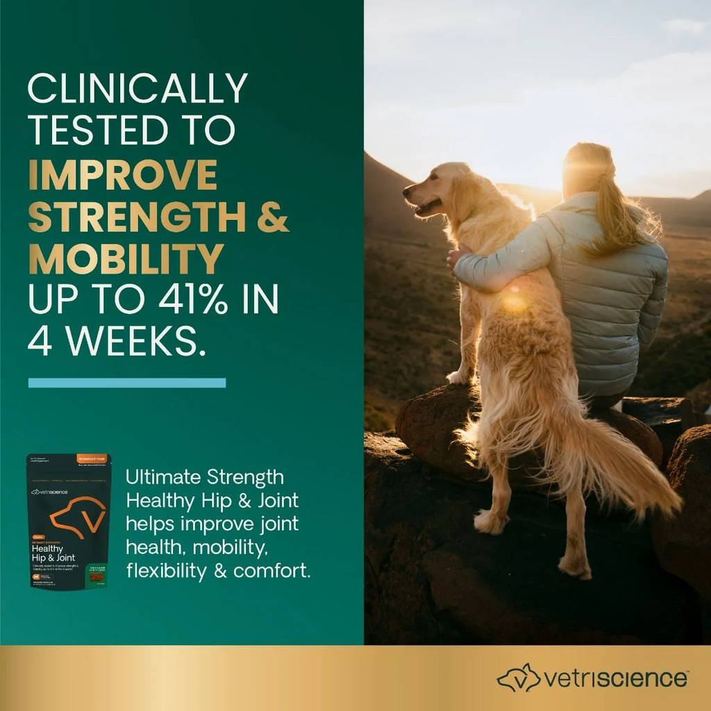 VetriScience Ultimate Strength Healthy Hip & Joint GlycoFlex Plus Soft Chews for Dogs, Duck Flavor
