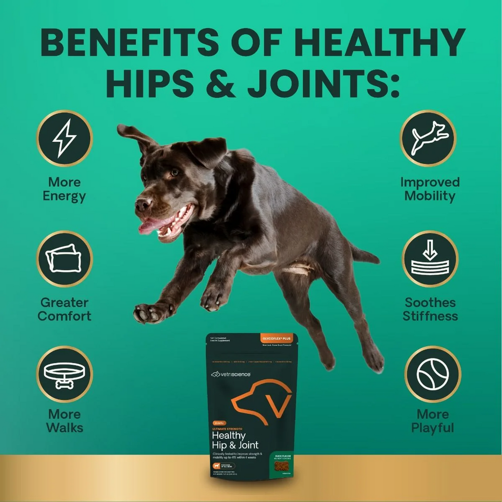 VetriScience Ultimate Strength Healthy Hip & Joint GlycoFlex Plus Soft Chews for Dogs, Duck Flavor