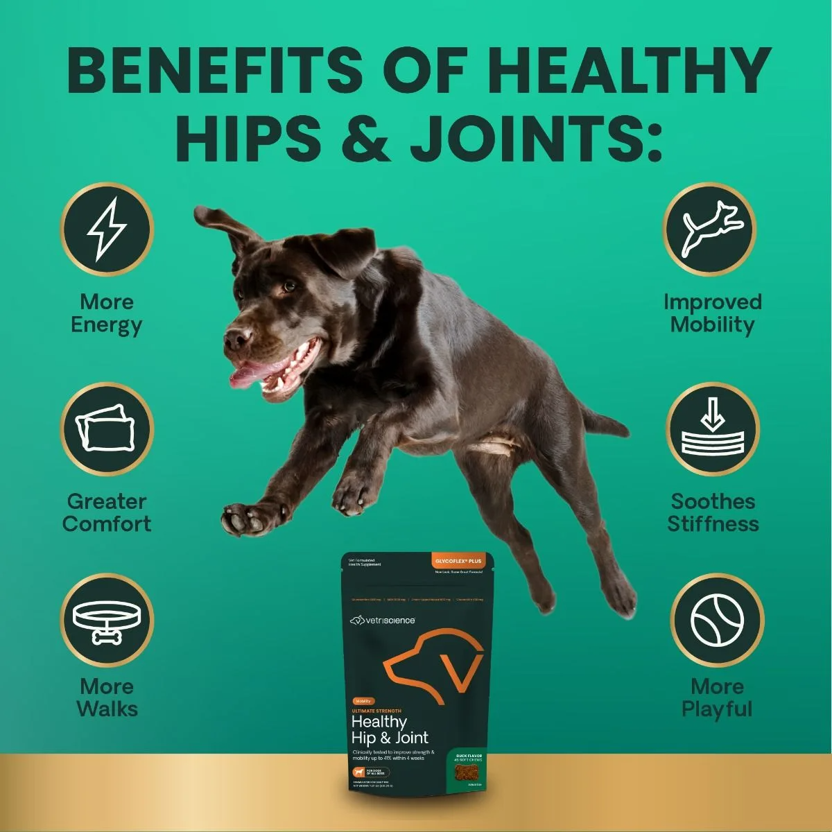 VetriScience Ultimate Strength Healthy Hip & Joint GlycoFlex Plus Soft Chews for Dogs, Duck Flavor