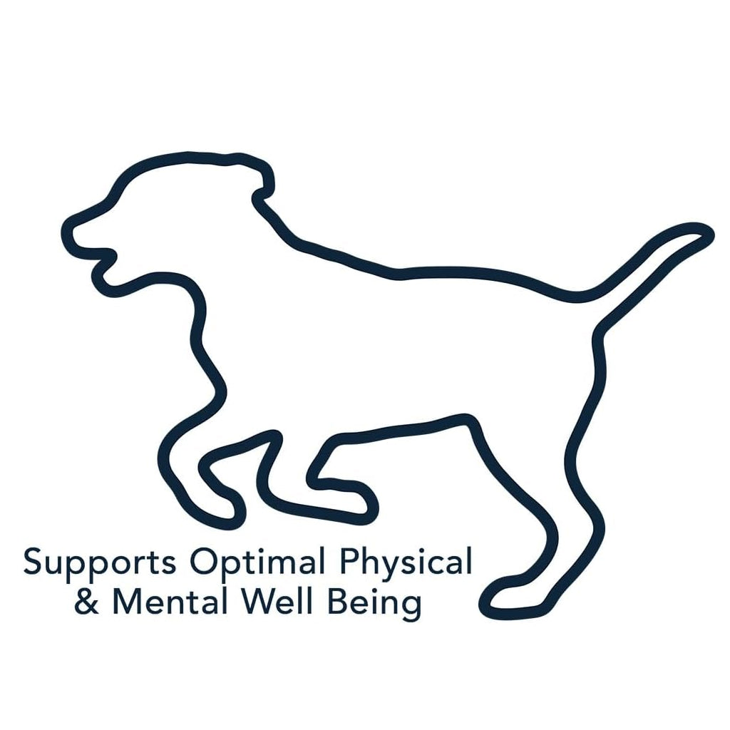 Vet's Best Multi-Vitamin Soft Chews for Dogs (30 soft chews)