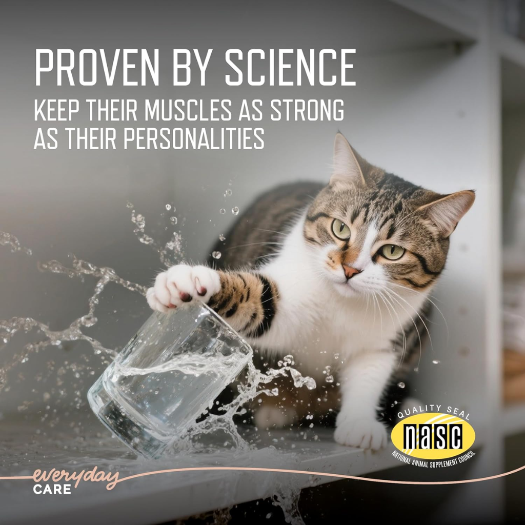 Virbac Ursolyx Muscle Care Soft Chews for Cats (60 Chews)