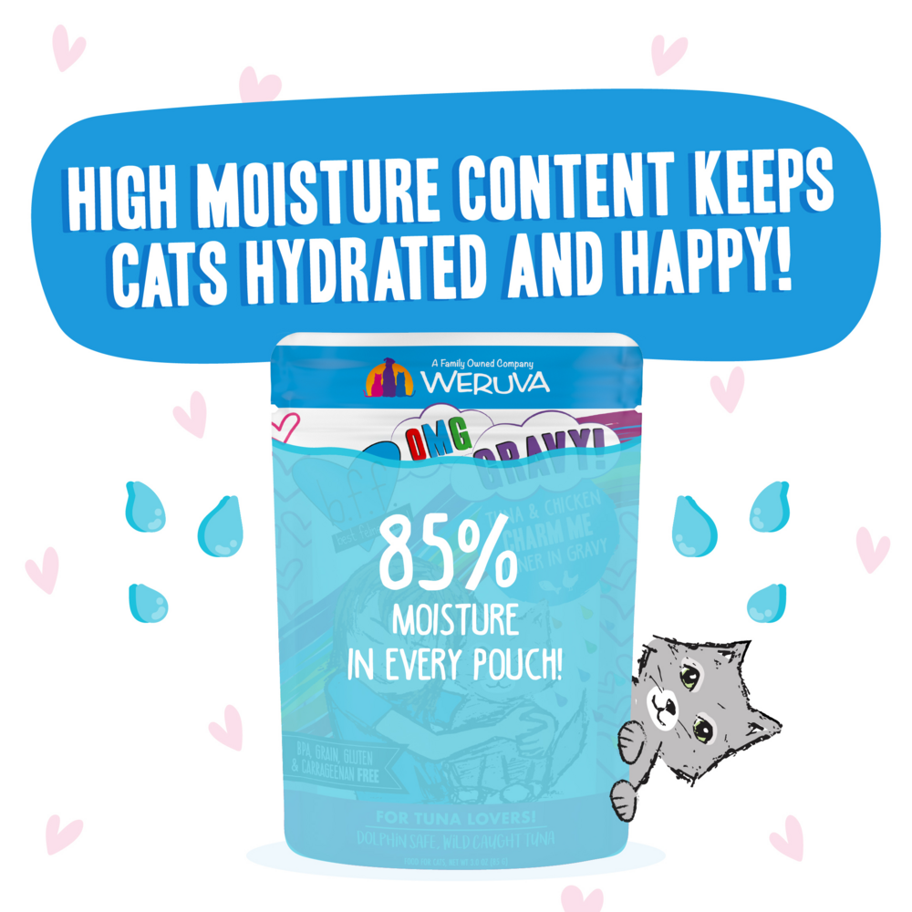 Weruva BFF Tuna & Chicken Charm Me Recipe Pouches Wet Cat Food, 3-oz, case of 12