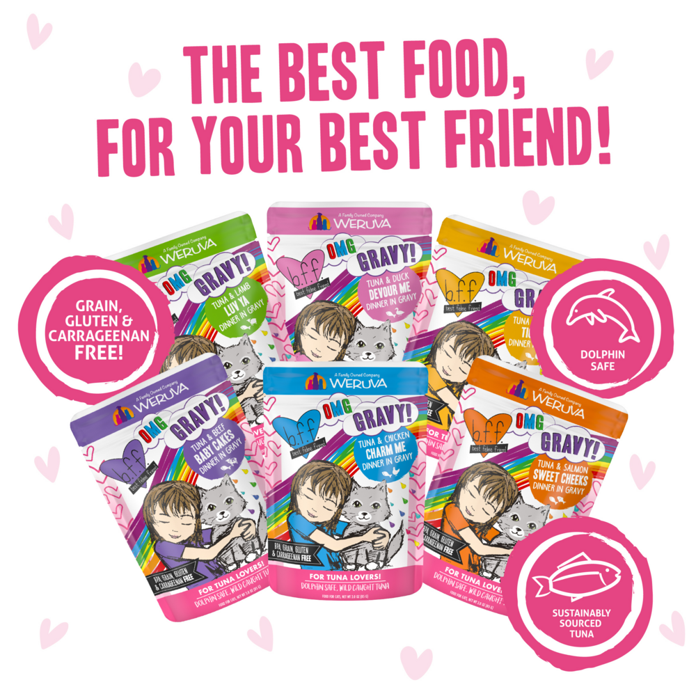 Weruva Grain Free BFF OMG Rainbow A Go Go Cat Variety Pouches Pack, 3-oz, case of 12