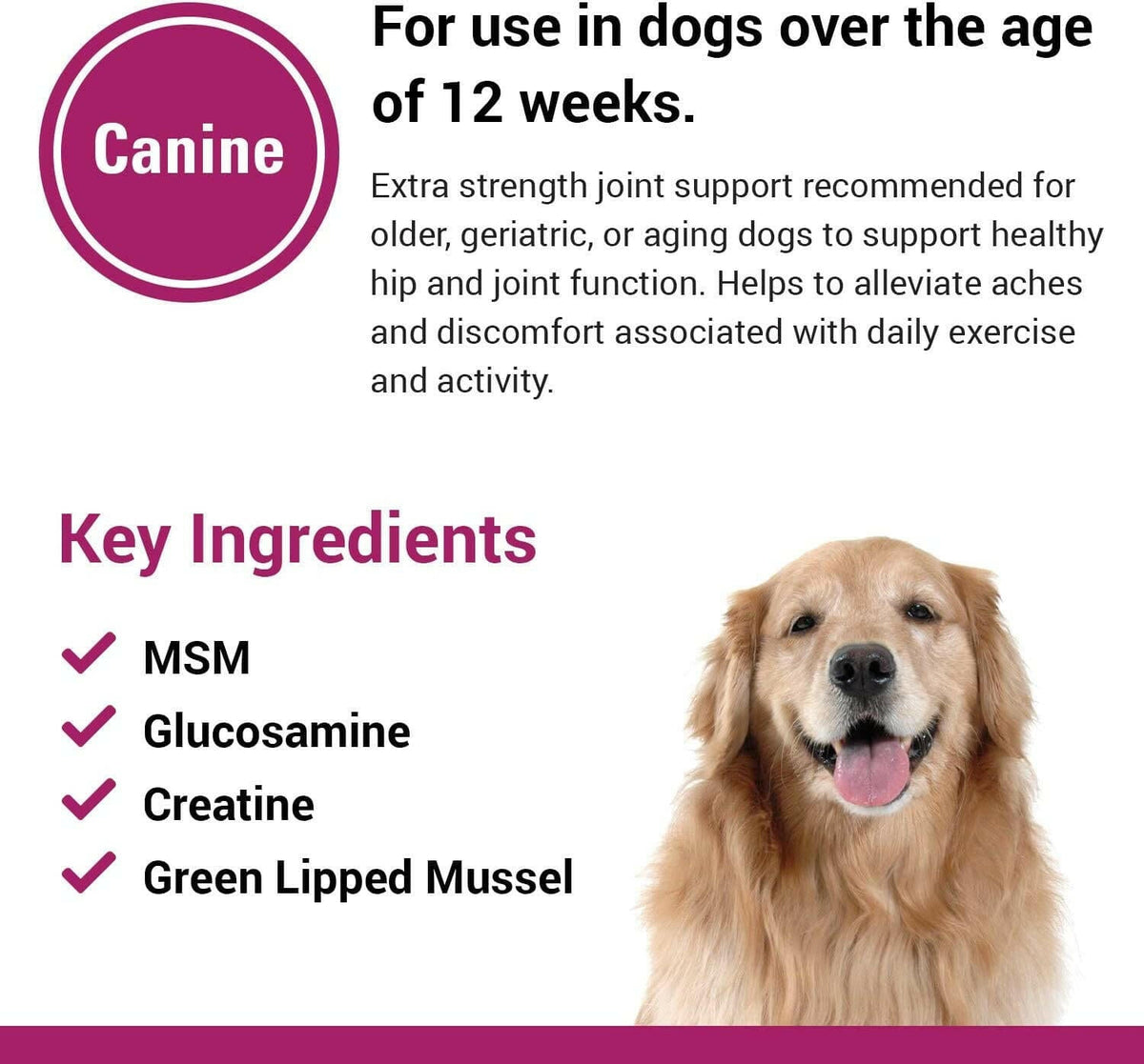 Re-Flex Ultra Strength Joint Support For Dogs (120 Chew Tabs)