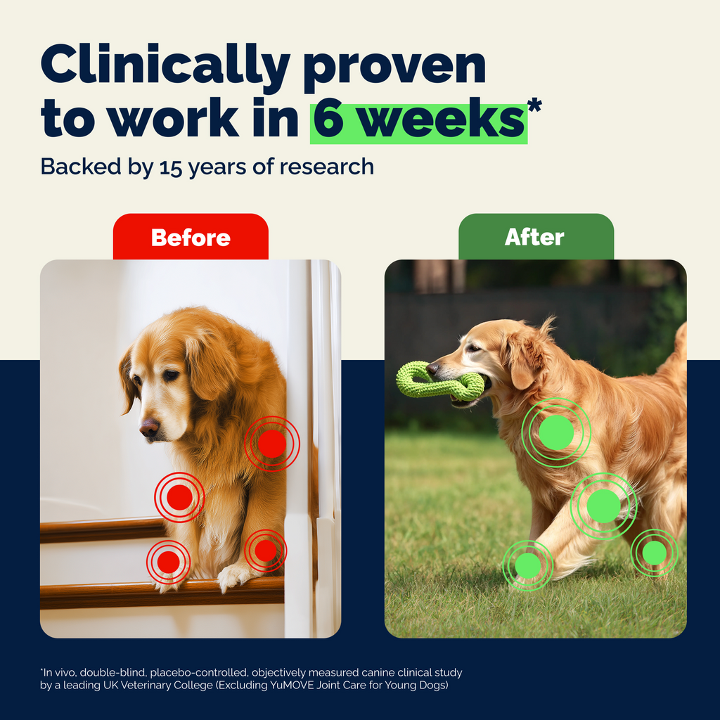 YuMOVE Advanced Vet Strength Hip & Joint Health Soft Chews for Dogs, Seafood Flavor