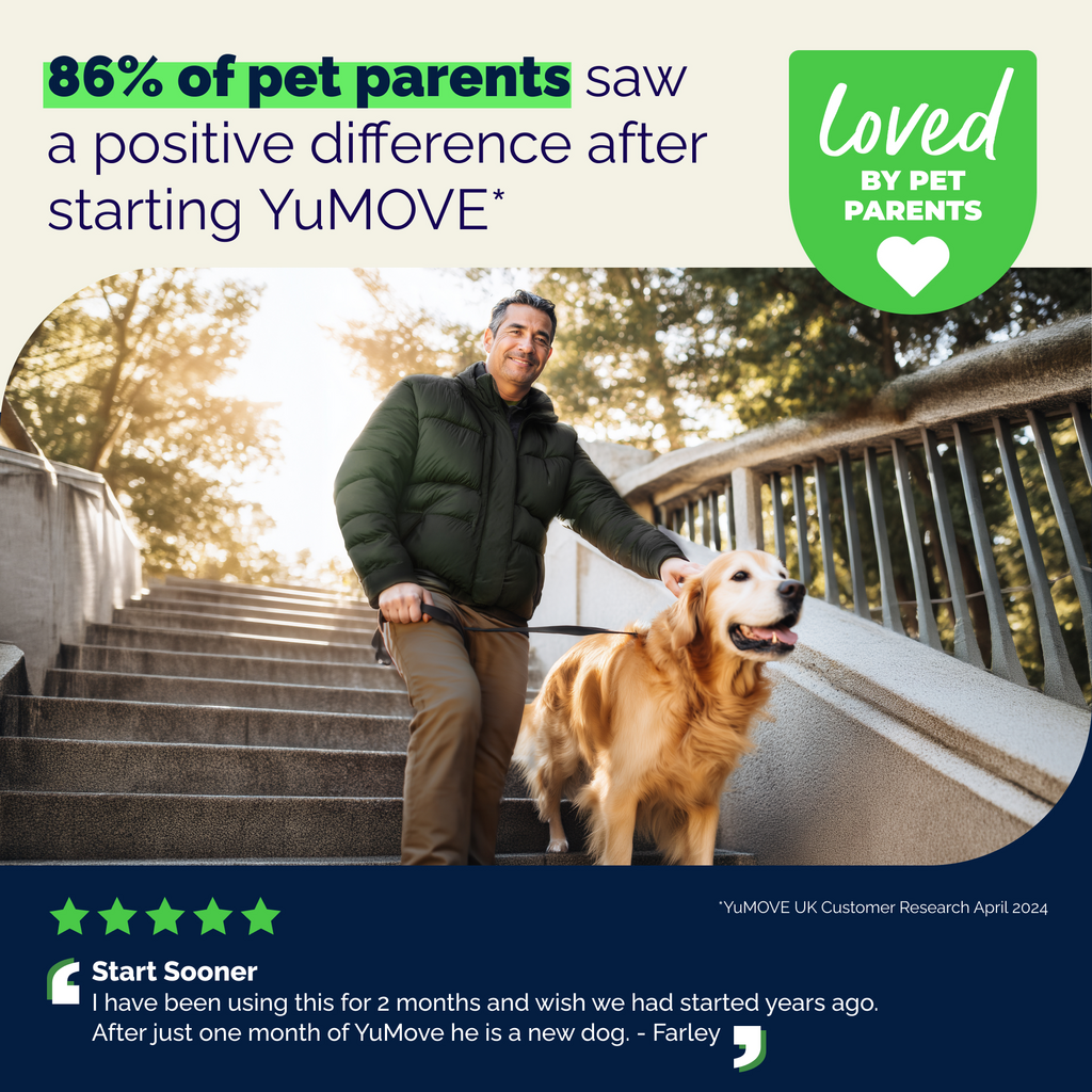 YuMOVE Advanced Vet Strength Hip & Joint Health Soft Chews for Dogs, Seafood Flavor