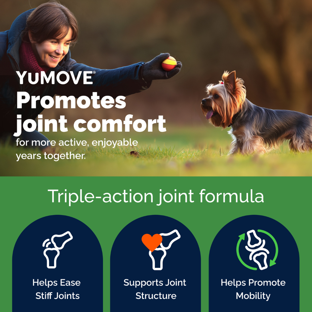 YuMOVE Hip & Joint Health Supplement For Dogs, 60 Soft Chews