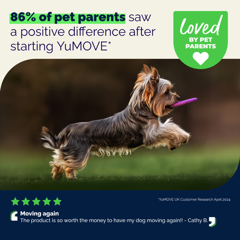 YuMOVE Hip & Joint Health Supplement For Dogs, 60 Soft Chews
