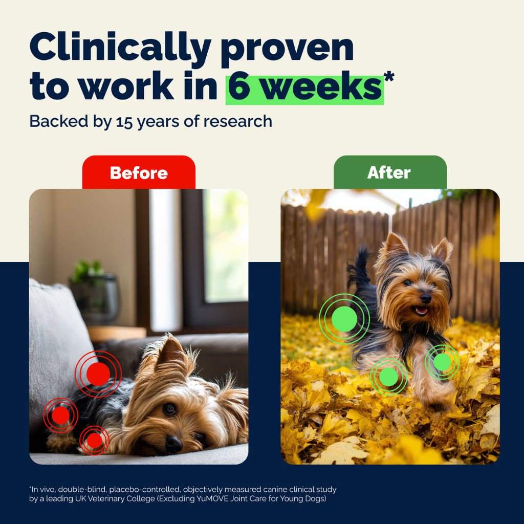 YuMOVE Hip & Joint Health Supplement For Dogs, 60 Soft Chews