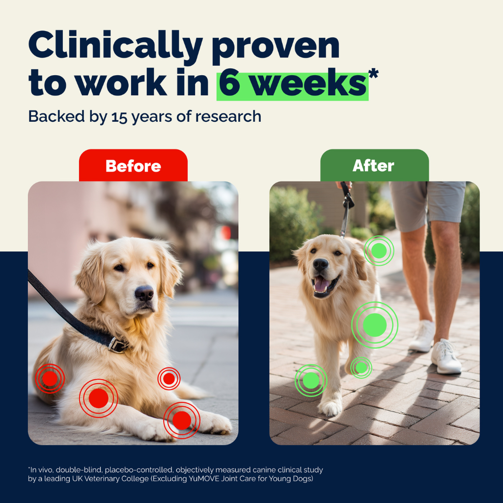 YuMOVE Hip & Joint Health Supplement Soft Chews for Adult Dogs