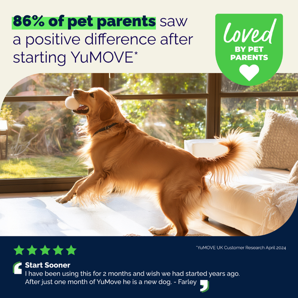 YuMOVE Hip & Joint Health Supplement Soft Chews for Adult Dogs