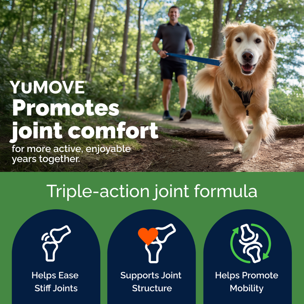 YuMOVE PLUS Joint Supplement Extra-Strength Tablets for Dogs