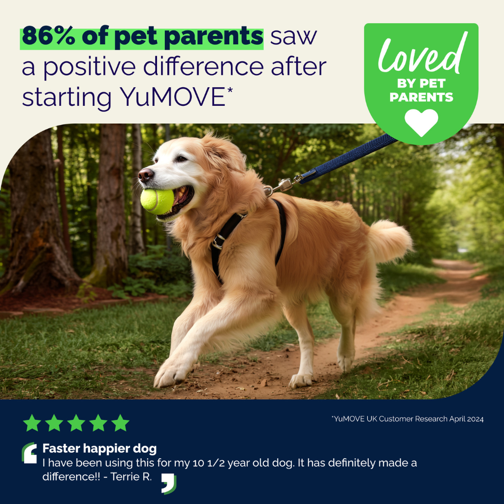 YuMOVE PLUS Joint Supplement Extra-Strength Tablets for Dogs