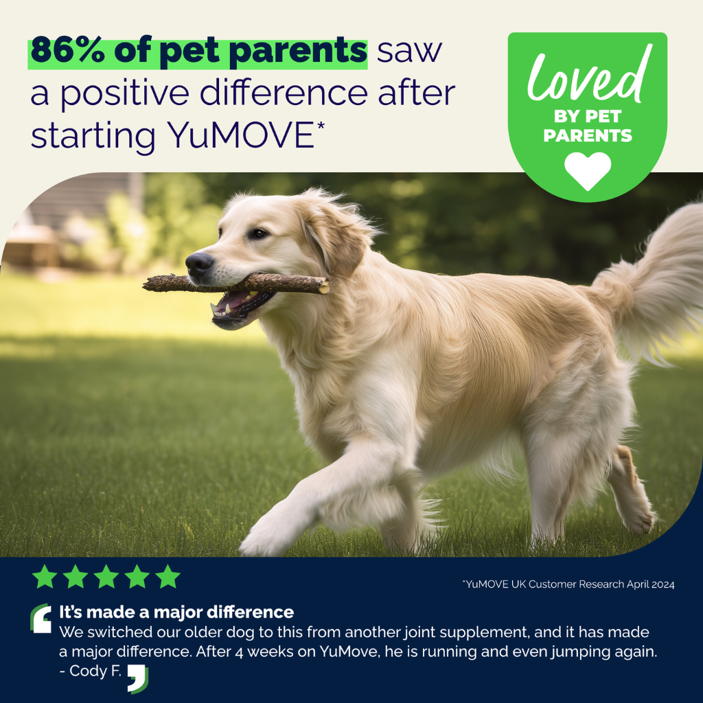 YuMOVE Senior Hip & Joint Health Tablets for Dogs