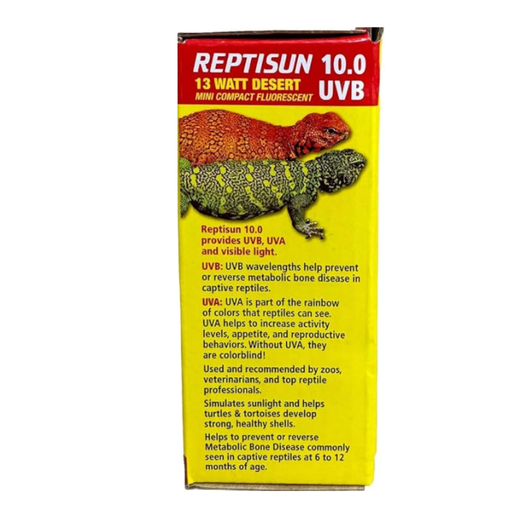 Zoo Med Day & Night Desert Lighting Kit